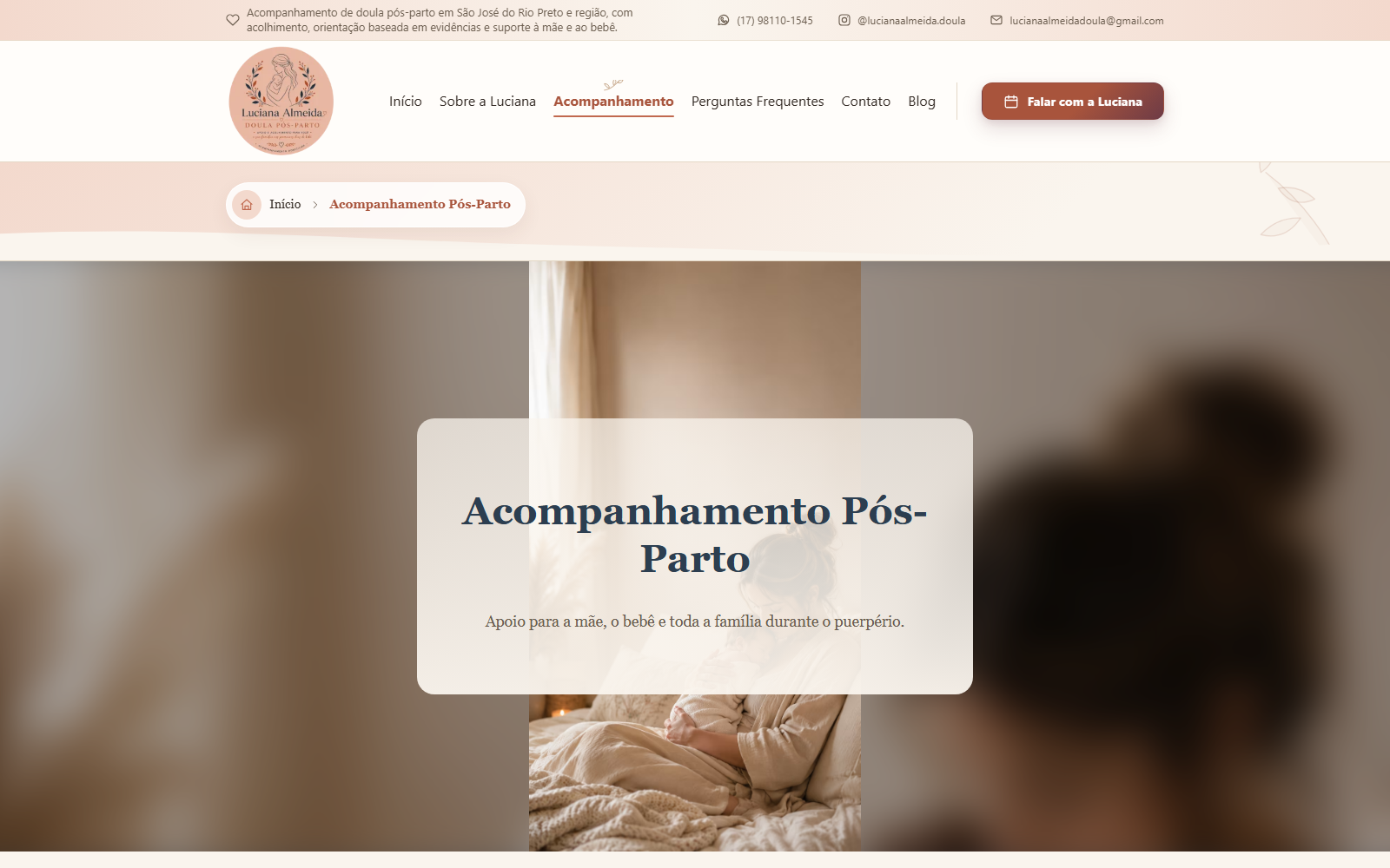 Acompanhamento Pós-Parto — projeto Luciana Almeida — Doula Pós-Parto